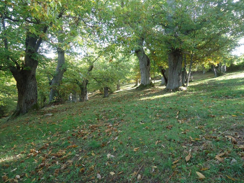 Agriturismo I Monti Di Salecchio Palazzuolo Sul Senio Buitenkant foto