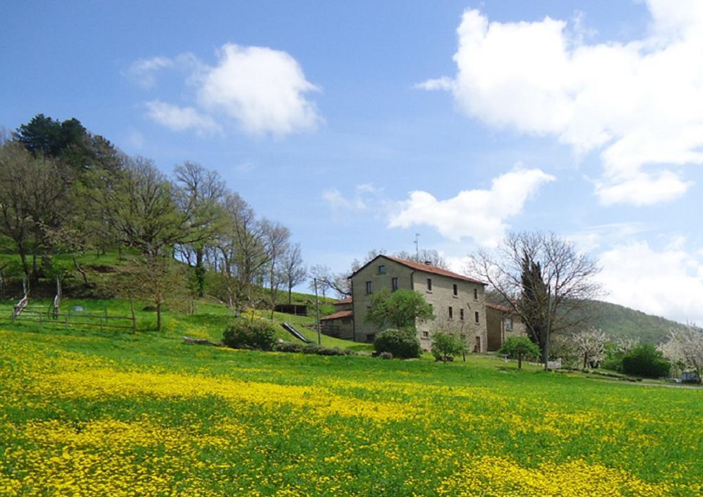 Agriturismo I Monti Di Salecchio Palazzuolo Sul Senio Buitenkant foto
