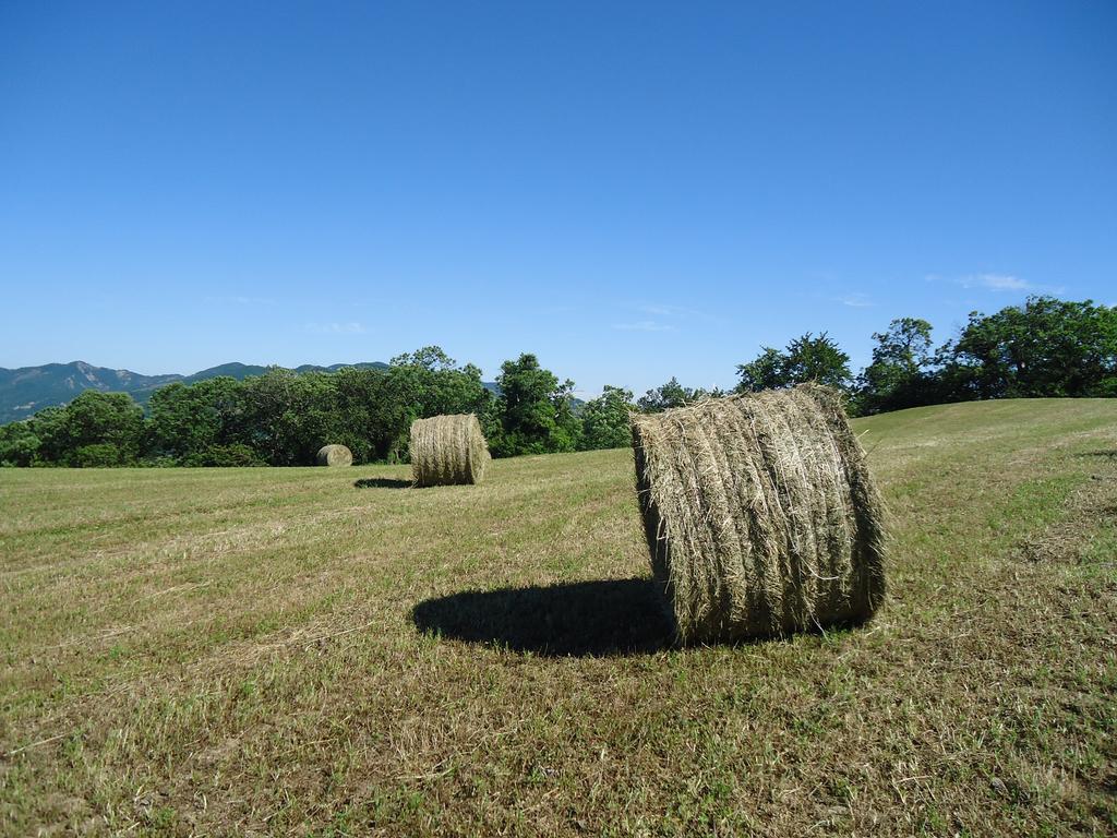 Agriturismo I Monti Di Salecchio Palazzuolo Sul Senio Buitenkant foto